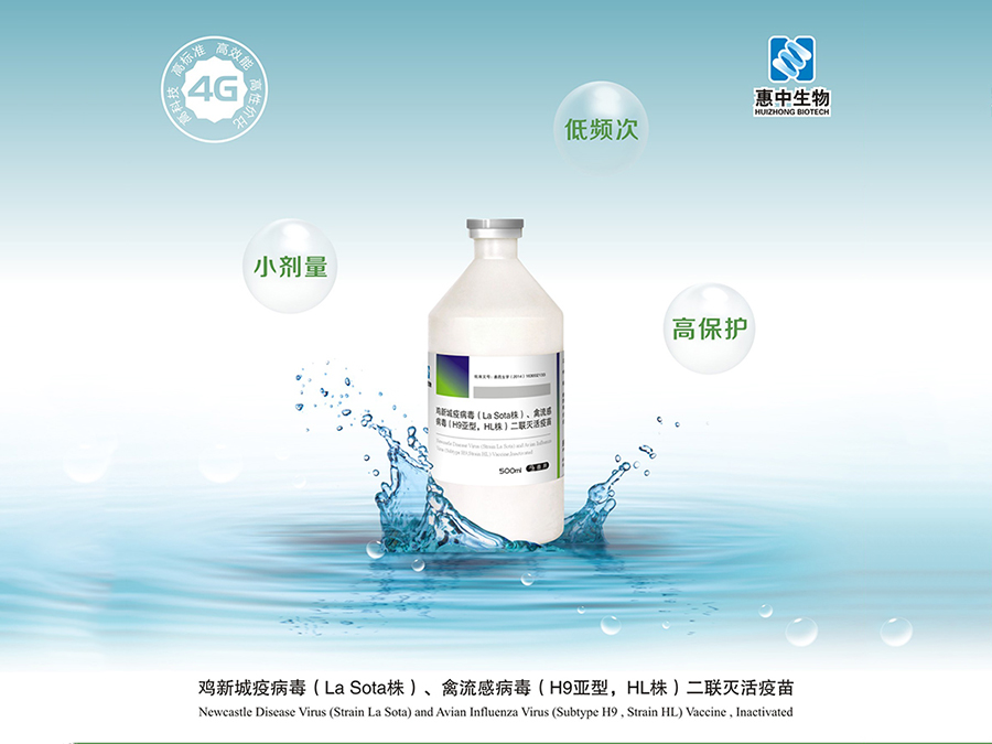 洛陽惠中生物技術(shù)有限公司